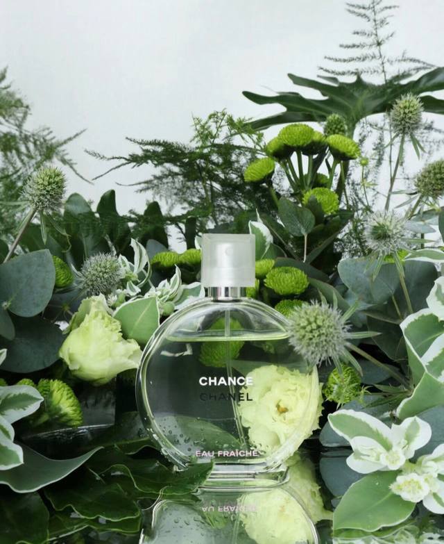 Chanel 香奈儿 Chance 邂逅香水100Ml，香奈儿绿色邂逅香水。海关扣押，特殊渠道货源，配专柜手提袋。邂逅清新淡香水，闪亮花香调，融合了香木橼的清新