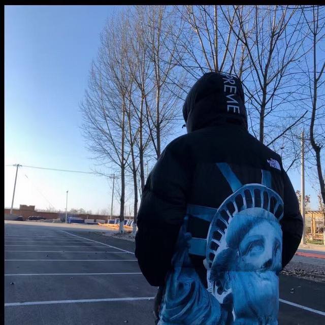 顶级版本自由女神羽绒服 Supreme X The North Face Statue Of Liberty自由女神联名北面羽绒服， 欢迎拿任何市面版本对比，已